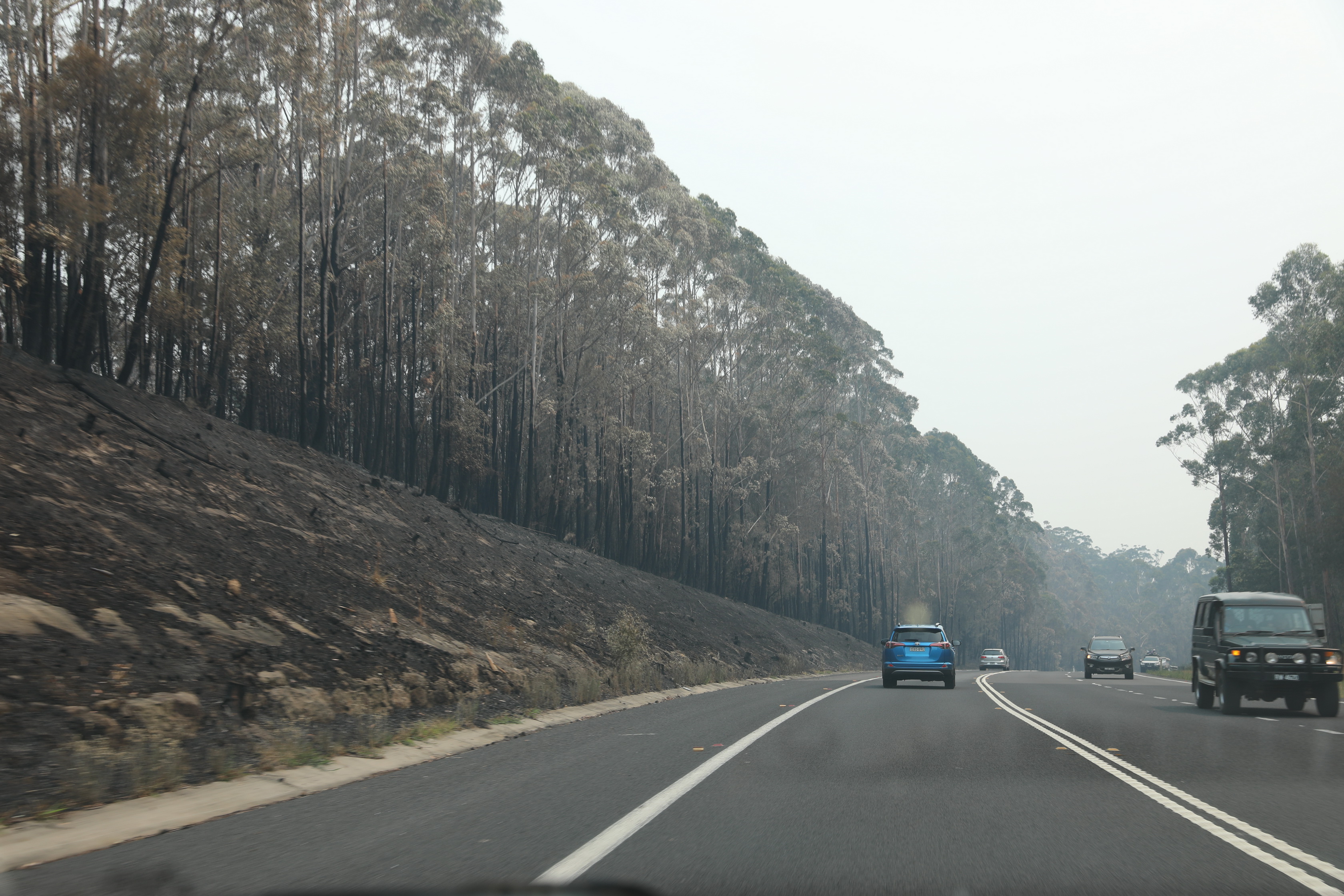 2019 12 28 10 44 13 Canon EOS 5D Mark IV 0006